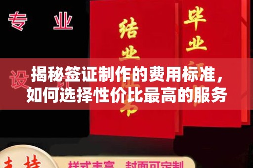 铁东揭秘签证制作的费用标准，如何选择性价比最高的服务？