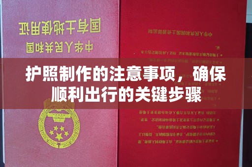 铁东护照制作的注意事项，确保顺利出行的关键步骤
