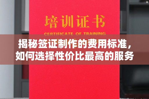 铁东揭秘签证制作的费用标准，如何选择性价比最高的服务？