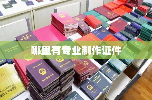 铁东哪里有专业制作证件