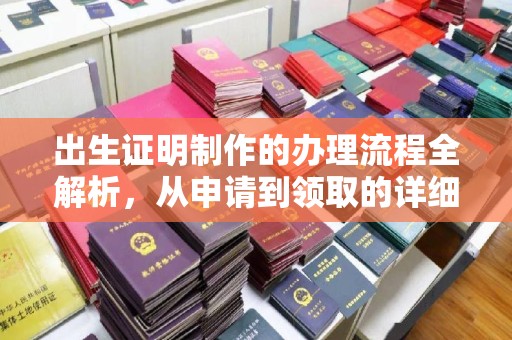 铁东出生证明制作的办理流程全解析，从申请到领取的详细指南